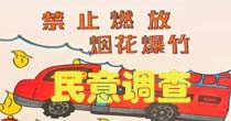 禁放烟花爆竹民意调查实施方案